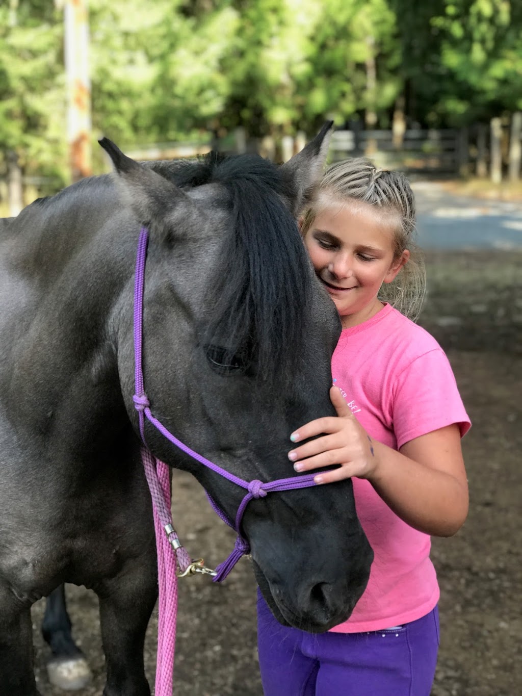 Alpine Stables | 3700 Holland Ave, Cobble Hill, BC V0R 1L3, Canada | Phone: (250) 812-6115