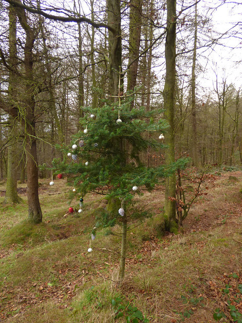 Les Sapins de la Tannery | 18 Chemin Tannery, Stanbridge East, QC J0J 2H0, Canada | Phone: (514) 622-1056