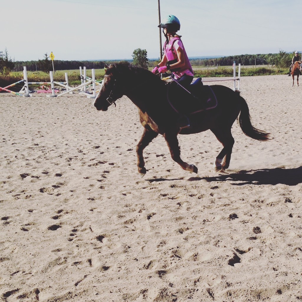 Pinegrove Farm | 2622 Ronald Rd, Minesing, ON L0L 1Y0, Canada | Phone: (705) 331-5616