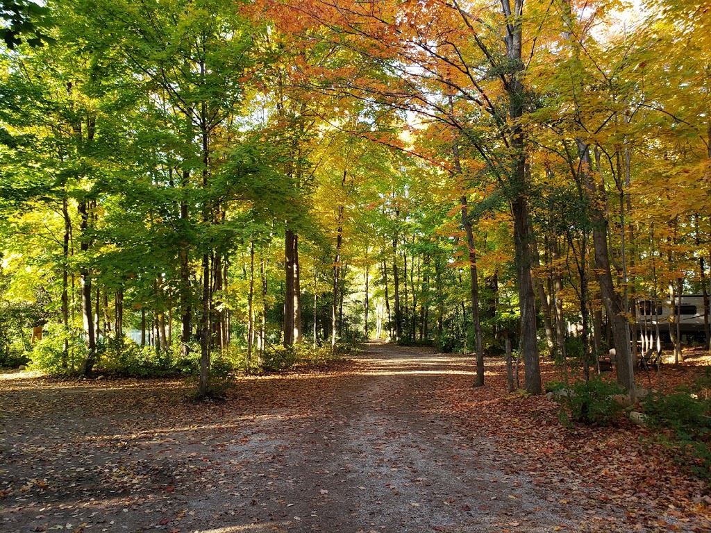 Auburn Riverside Retreat | 38382 Blyth Rd, Auburn, ON N0M 1E0, Canada | Phone: (519) 526-7238
