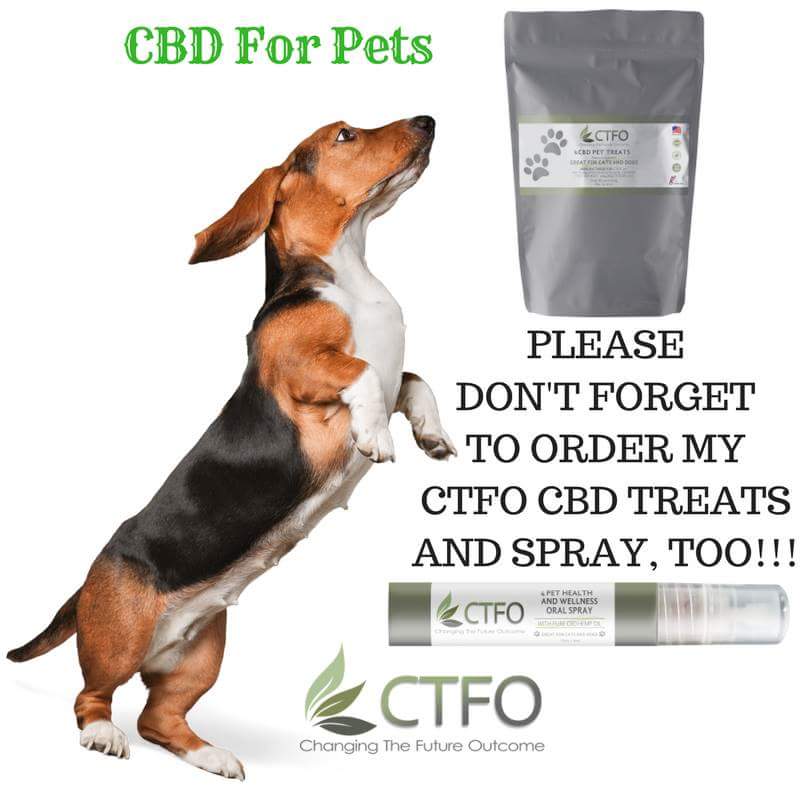 Change4U | 5312 2nd Ave, Regina, SK S4T 0B8, Canada | Phone: (306) 737-7145