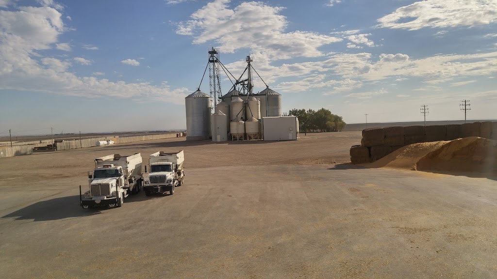 Grandview Cattle Feeders - North | Range Rd 224, Nobleford, AB T0L 1S0, Canada | Phone: (403) 732-4222