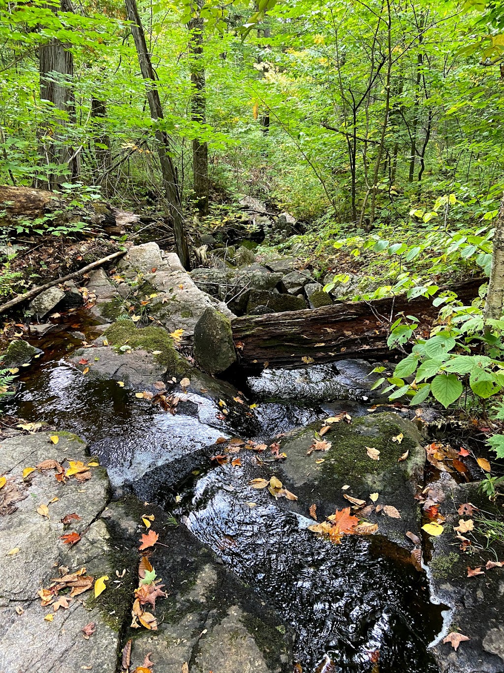 Sentiers nature de Chute Saint-Philippe | 30 Chem. du Panorama, Chute-Saint-Philippe, QC J0W 1A0, Canada | Phone: (819) 585-3397