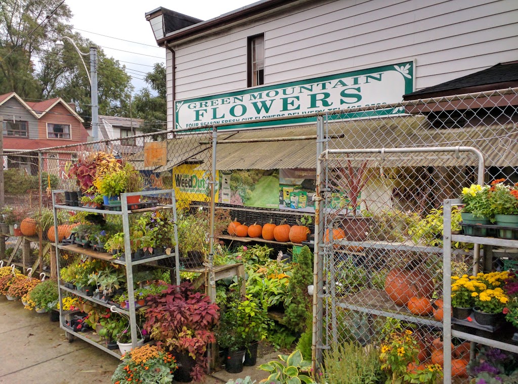 Green Mountain Market | 350 Coxwell Ave, Toronto, ON M4L 3B6, Canada | Phone: (416) 465-2528