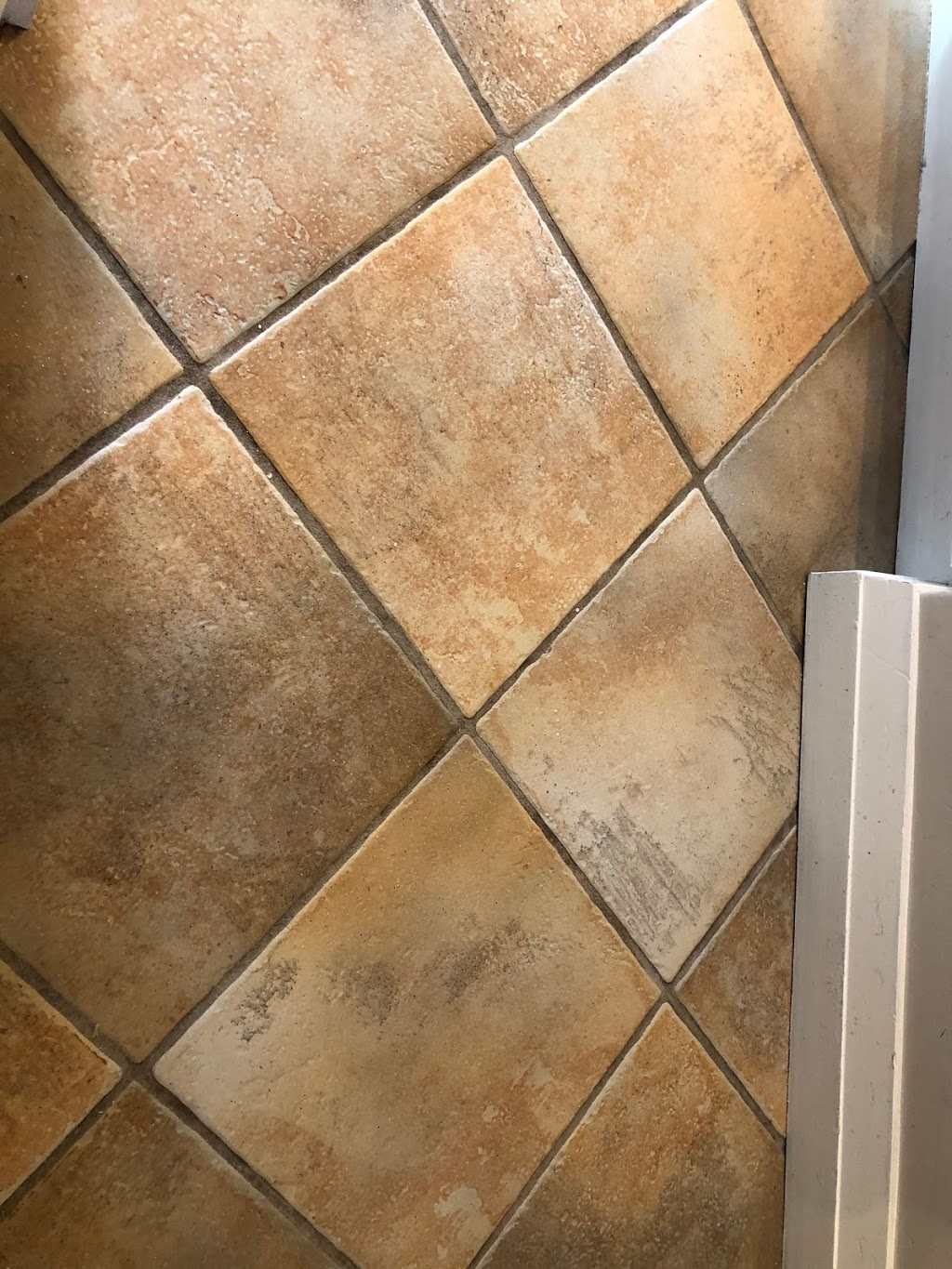 Tile Grout Restoration | 288 Mill Rd F21, Etobicoke, ON M9C 4X7, Canada | Phone: (416) 732-8060