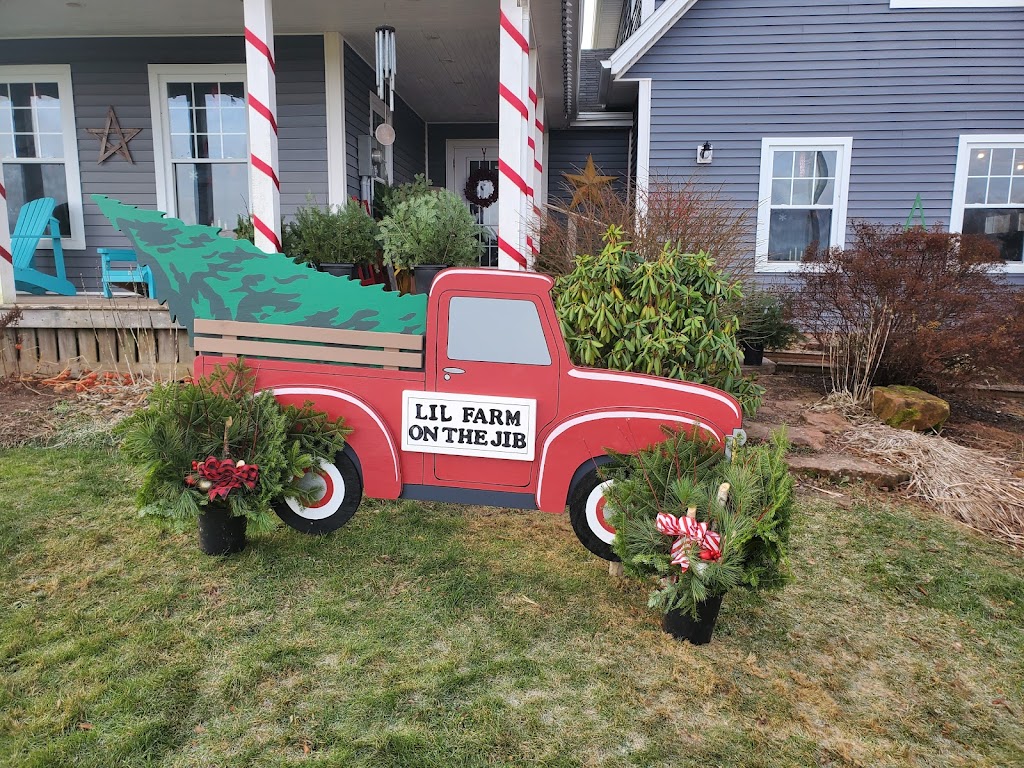 Lil Farm on the Jib | 84 MacLennan Rd, Hazelbrook, PE C1B 0N5, Canada | Phone: (902) 569-1133