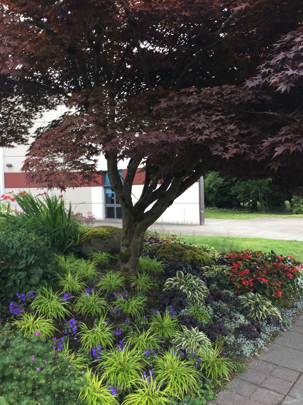 Poirier Branch, Coquitlam Public Library | 575 Poirier St, Coquitlam, BC V3J 6A9, Canada | Phone: (604) 554-7323