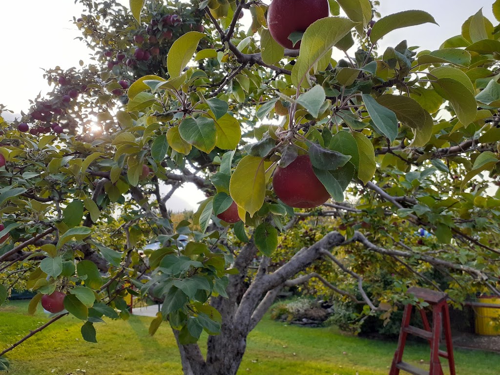 Verger de la Petite Ferme | 11388 Côte des Bouchard, Mirabel, QC J7N 2E5, Canada | Phone: (450) 258-3406