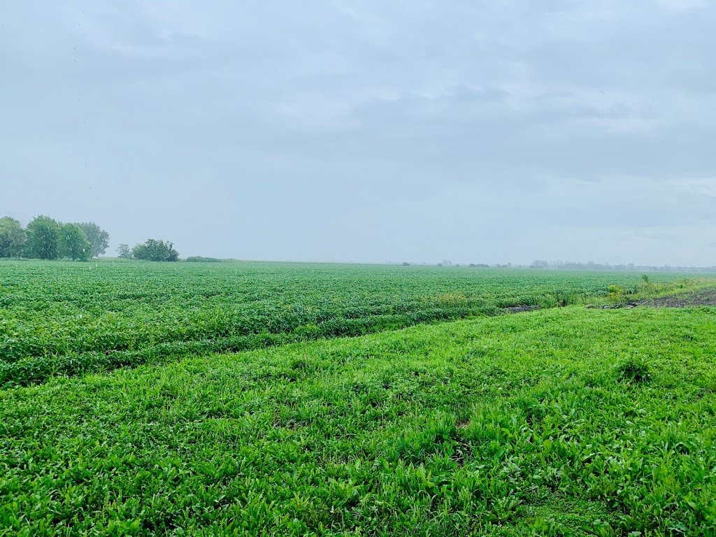 Les Jardins Laplante | 900 Boulevard Saint-Luc, Saint-Jean-sur-Richelieu, QC J2W 2G6, Canada | Phone: (514) 949-3196