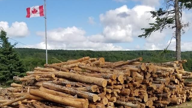 Maggies Farm | 54 Highway 326, Earltown, NS B0K 1V0, Canada | Phone: (902) 657-0049