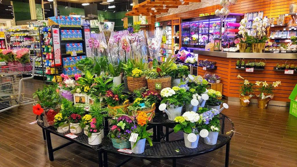 Boxgrove Centre | 60-100 Copper Creek Dr, Markham, ON L6B 0P2, Canada | Phone: (905) 760-7300