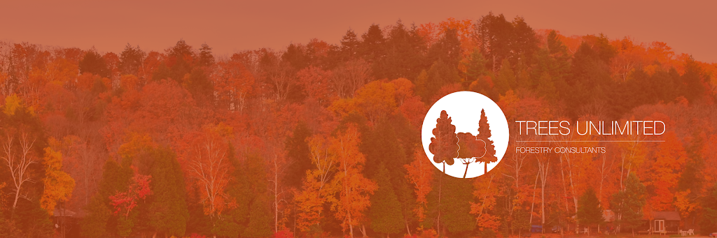 Trees Unlimited | 13130 McKenney Rd, Niagara Falls, ON L3B 6N7, Canada | Phone: (905) 384-0789