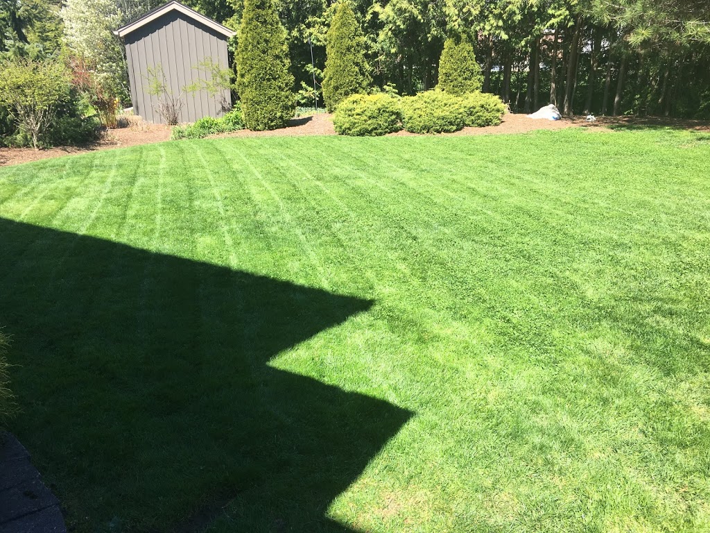 JMD Lawn Care | 16 Joanne Crescent, Elora, ON N0B 1S0, Canada | Phone: (437) 241-2127
