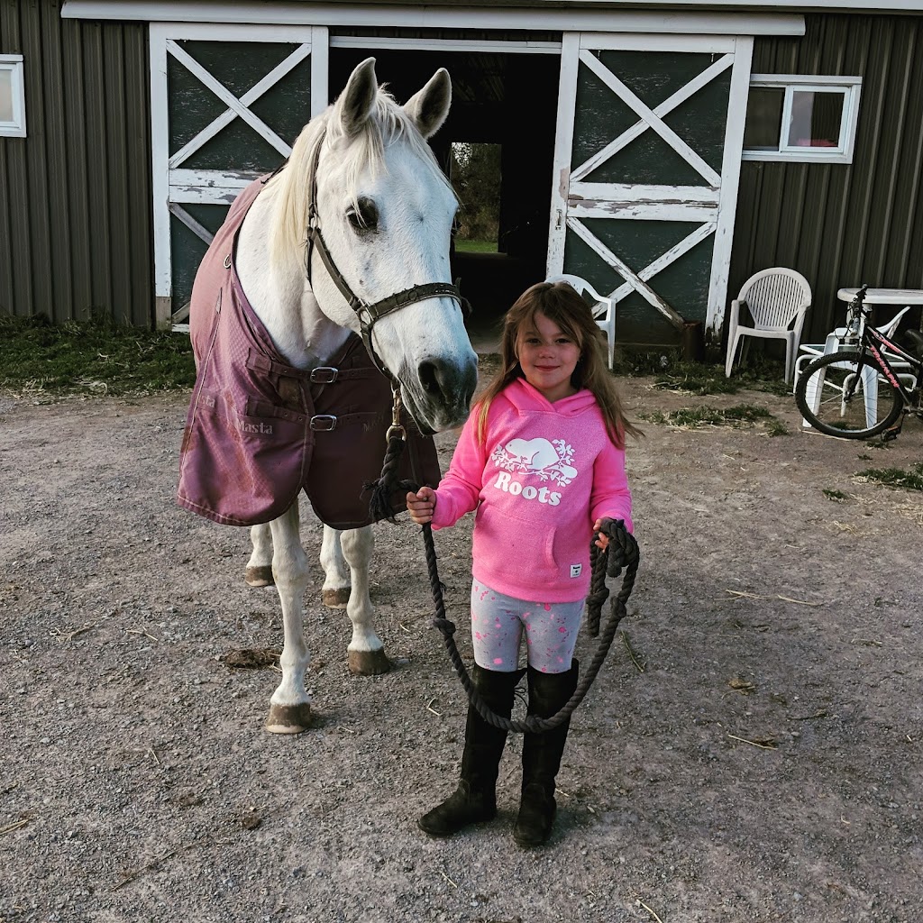 KB Equestrian | 20 Mcindoos Cemetery Rd, Woodville, ON K0M 2T0, Canada | Phone: (905) 809-6010