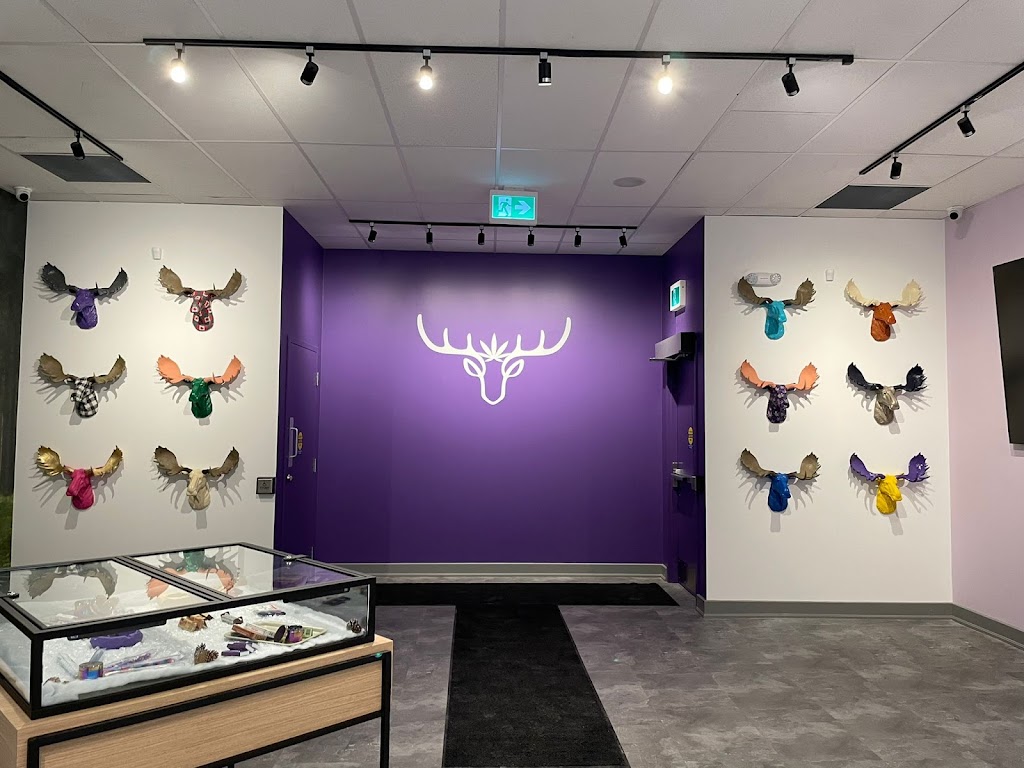 Purple Moose Cannabis | 1383 Lawrence Ave W, North York, ON M6L 1A4, Canada | Phone: (647) 258-9956