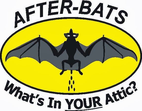 AfterBats | 271 St Joseph Rd, Lindsay, ON K9V 6E5, Canada | Phone: (705) 927-2168