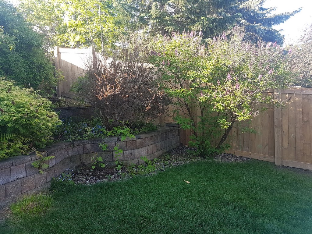 Northwood Solutions | 30 Sonora Dr, St. Albert, AB T8N 0L4, Canada | Phone: (780) 932-5912