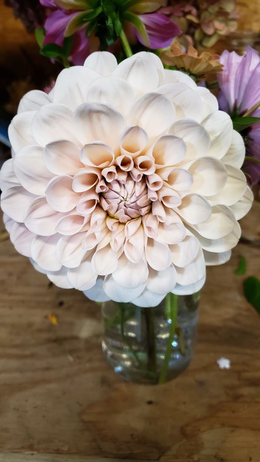 Dragonfly Blossoms | 549 County Rd 42, Havelock, ON K0L 1Z0, Canada | Phone: (705) 933-4334