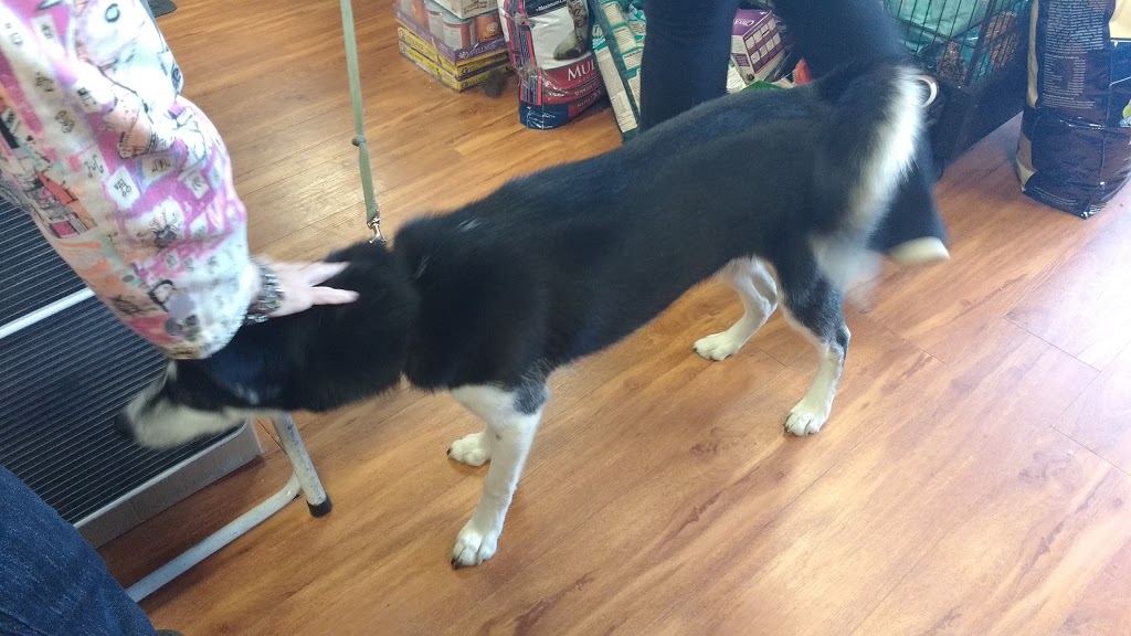 Pet Valu | 5949 Baldwin St S, Whitby, ON L1M 2J7, Canada | Phone: (905) 655-1704