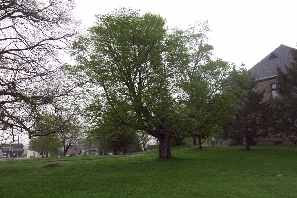 Monument-Lefebvre National Historic Site | 480 Rue Centrale, Memramcook, NB E4K 3S6, Canada | Phone: (506) 758-9808