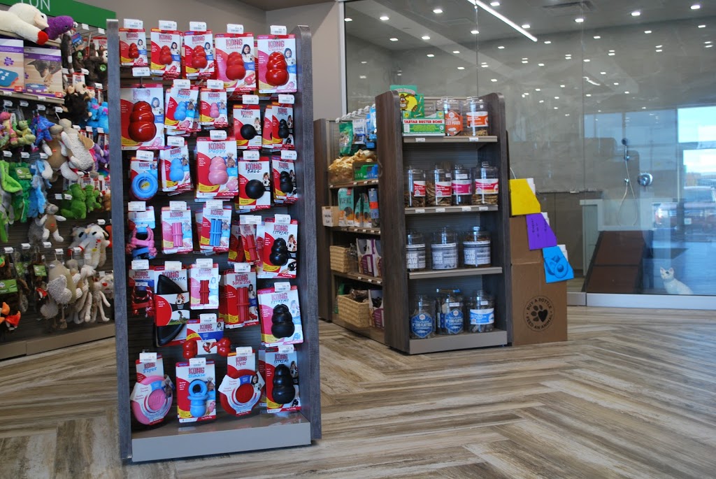 For Your Fur Kids | 650 Division Rd, Windsor, ON N8X 5E7, Canada | Phone: (519) 966-1818