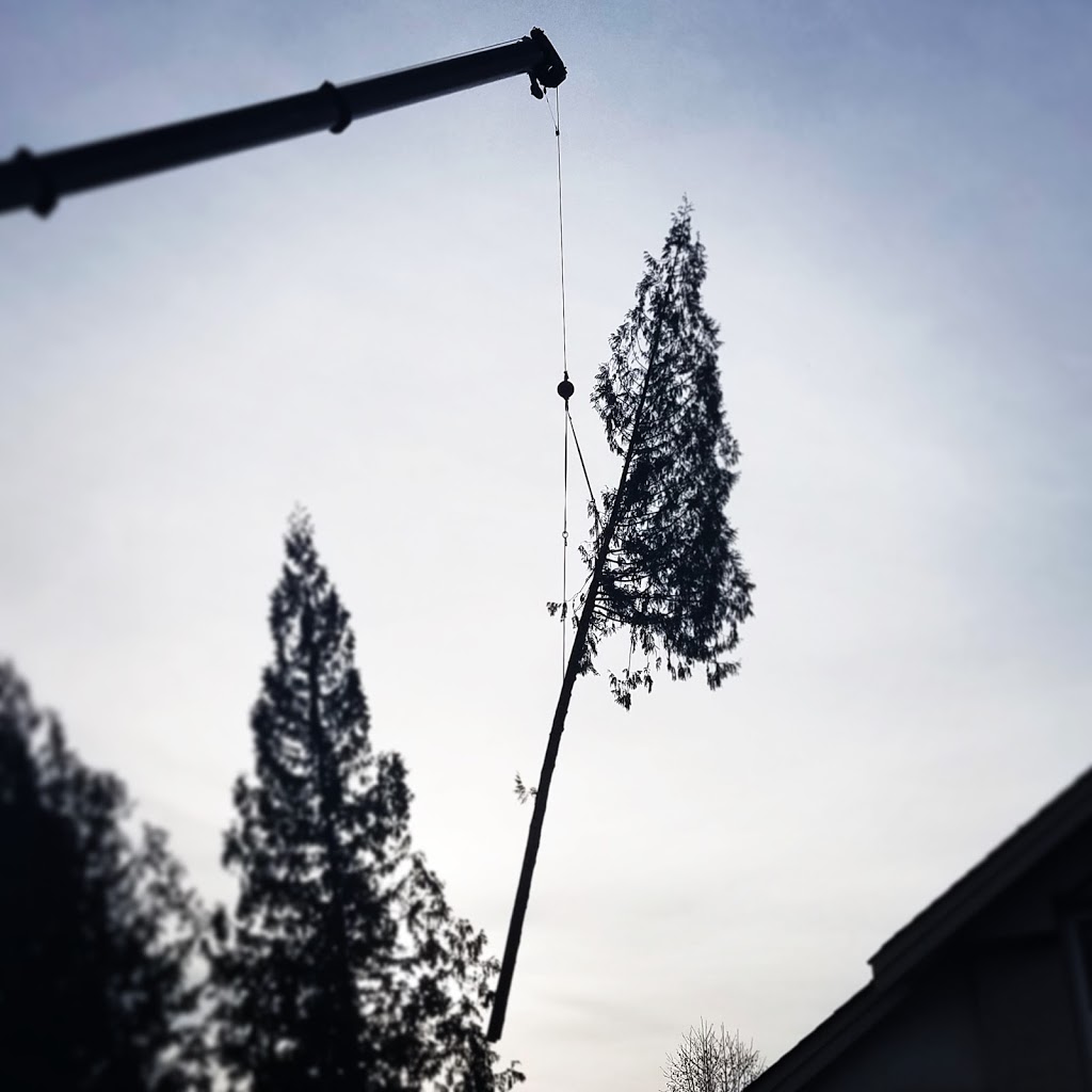 2 Mikes Tree Service | 7217 Lantzville Rd, Lantzville, BC V0R 2H0, Canada | Phone: (250) 714-9214