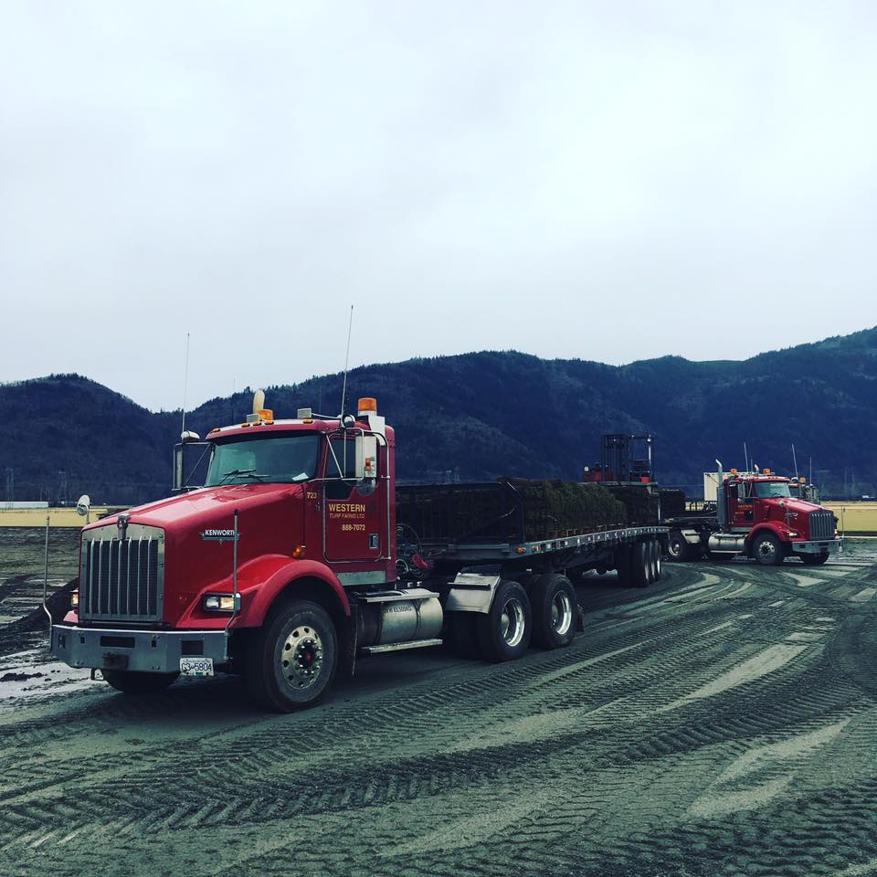 Western Turf Farms Ltd | 39183 No 5 Rd, Abbotsford, BC V3G 2G3, Canada | Phone: (604) 850-6660