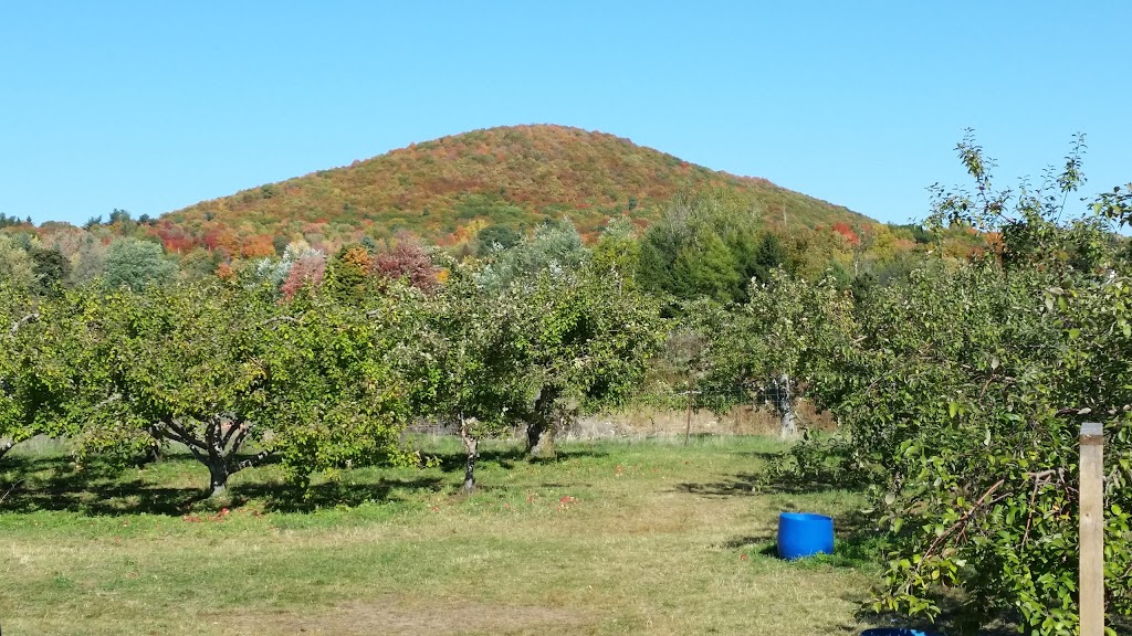 Les 7 fruits du château | 1172 Chemin de la Montagne, Mont-Saint-Hilaire, QC J3G 4S6, Canada | Phone: (450) 467-9965