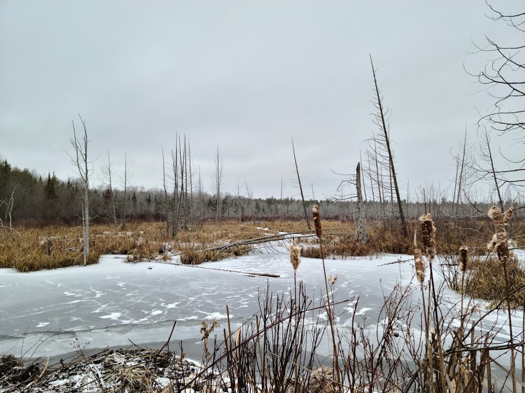 Severn Quarry | 2646 Nichols Line, Orillia, ON L3V 6H3, Canada | Phone: (705) 689-6800