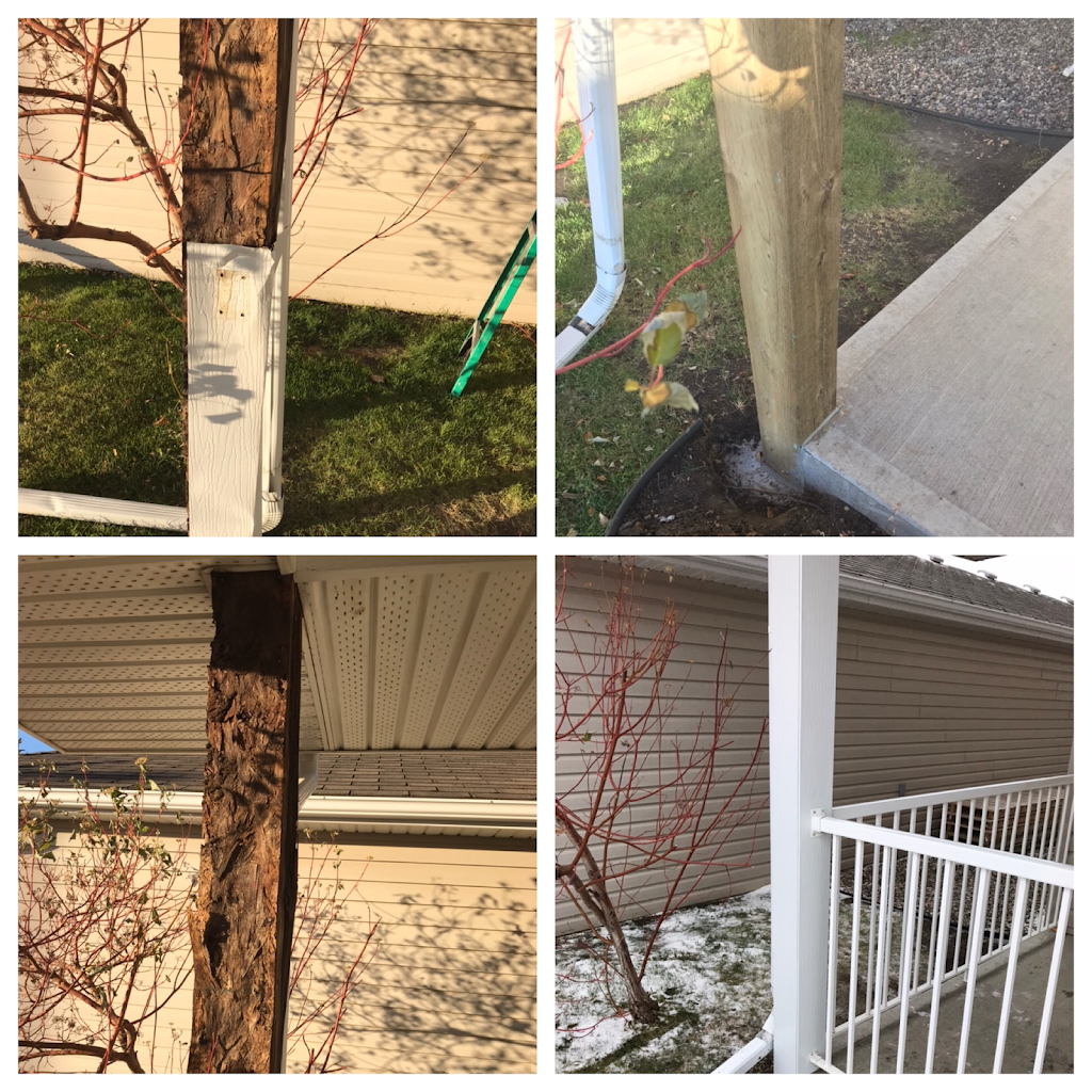 SZ Renos | 392 Habkirk Dr, Regina, SK S4S 6A8, Canada | Phone: (306) 530-5027