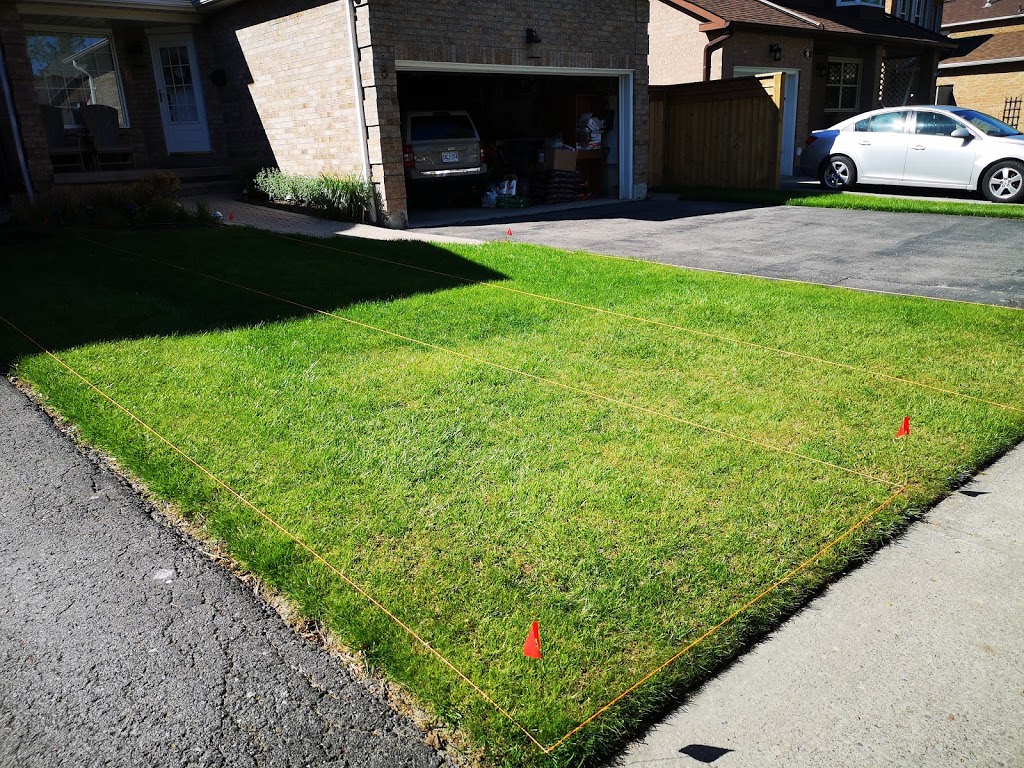 PasKo Property Maintenance | 687 King St W, Oshawa, ON L1J 2L2, Canada | Phone: (905) 809-9612