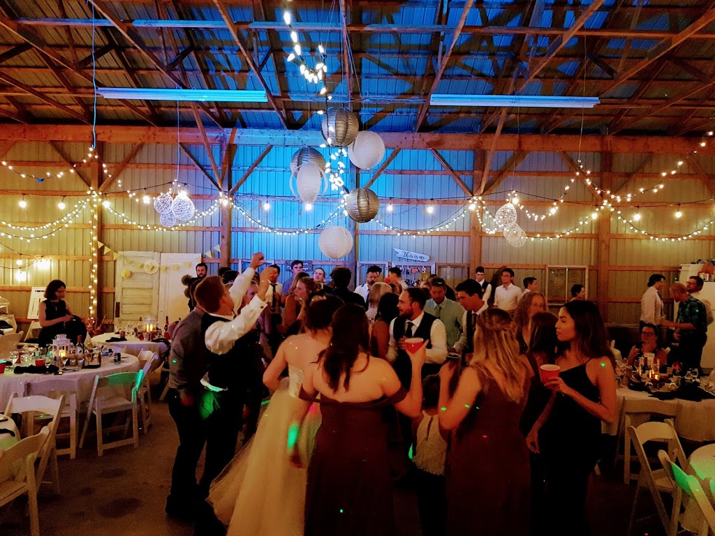 Steves Disc Jockey Service | 3209 Burnside Line, Severn, ON L3V 0W1, Canada | Phone: (705) 242-3619