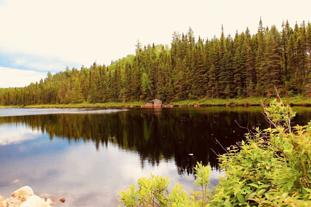 Saint-Maurice Wildlife Reserve | 3774 QC-155, Rivière-Matawin, QC G0X 2C0, Canada | Phone: (819) 646-5687