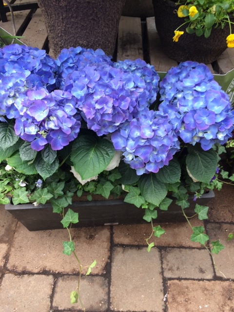 Leader Landscape Construction | 3045 Southcreek Rd #27, Mississauga, ON L4X 2X6, Canada | Phone: (416) 854-2124