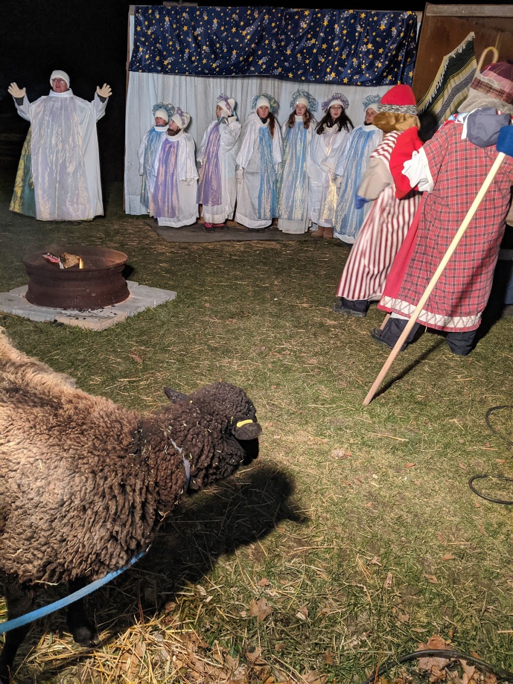 Walk to Bethlehem Nativity Pageant | point of interest | 8560 Tremaine Rd, Milton, ON L9T 2X3, Canada | 9058750839 OR +1 905-875-0839