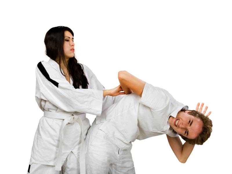 Asahi Karate Shotokan | 77 Boulevard Sir-Wilfrid-Laurier, Mont-Saint-Hilaire, QC J3H 3N3, Canada | Phone: (438) 391-8814