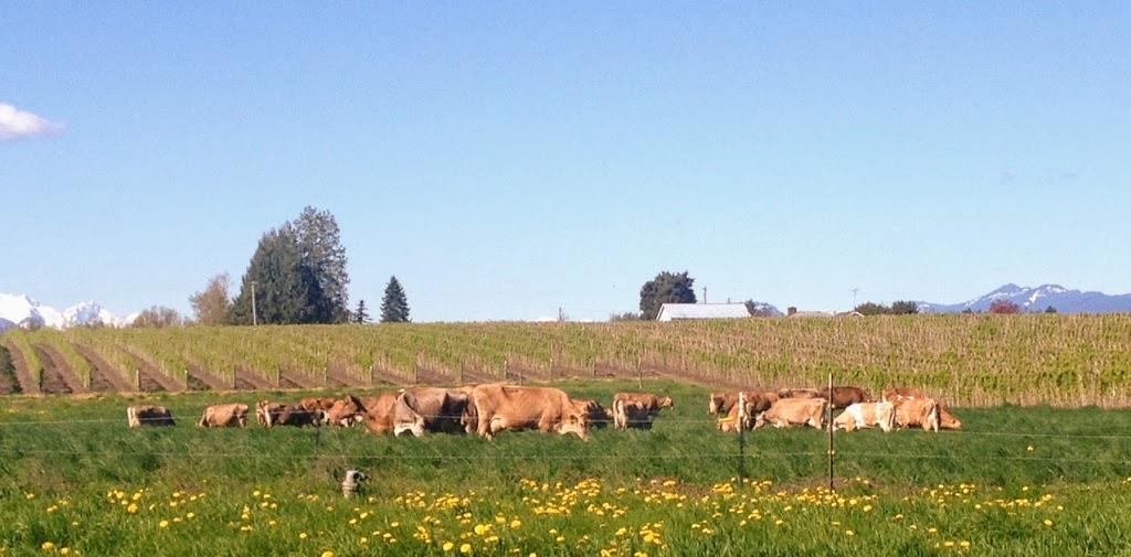 Grace Harbor Farms | 2347 Birch Bay Lynden Rd, Custer, WA 98240, USA | Phone: (360) 366-4151