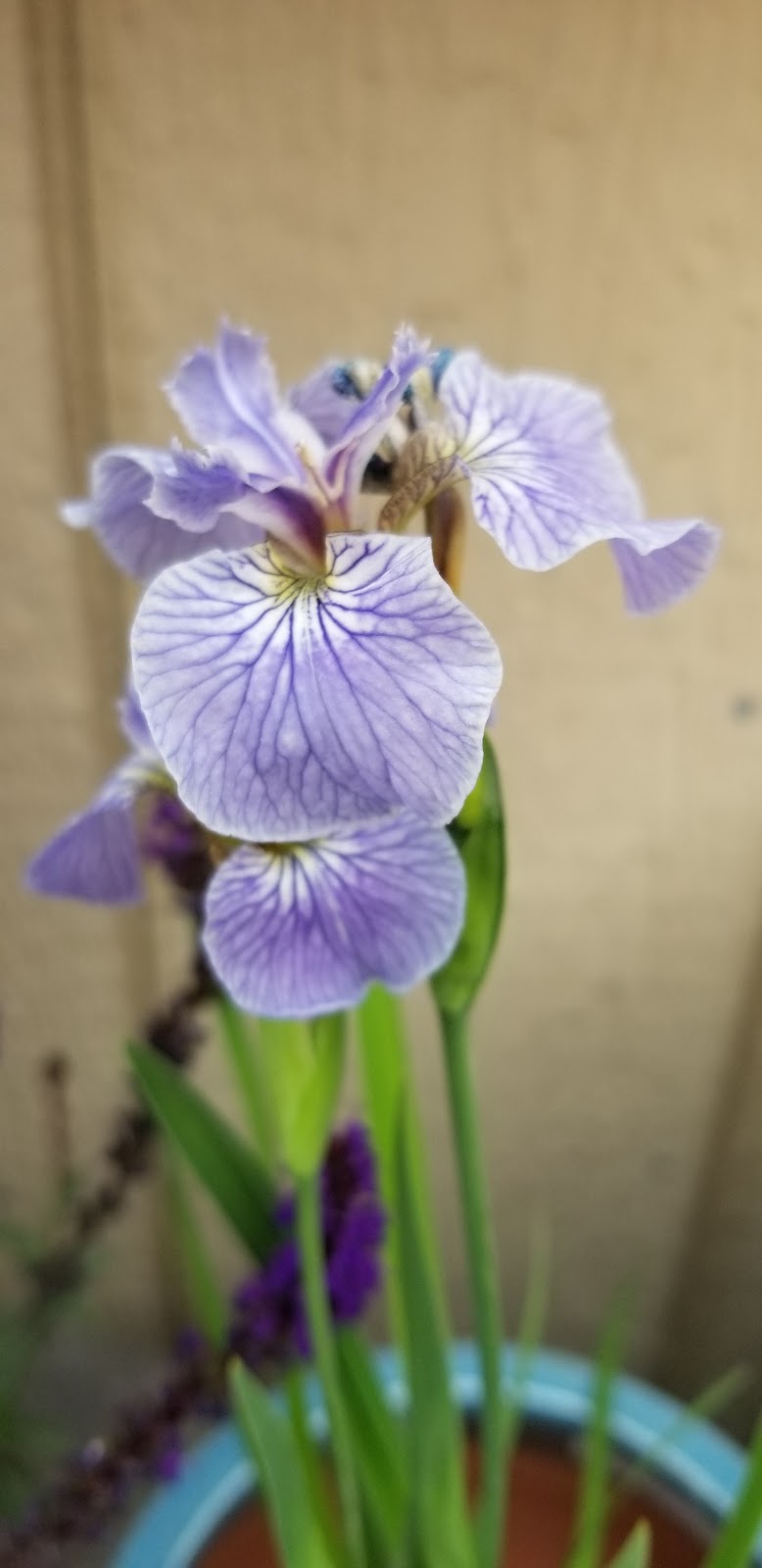 Allens Landscape Supply Depot Inc | 2625 Stanley Ave, Niagara Falls, ON L2J 0E3, Canada | Phone: (905) 262-5155