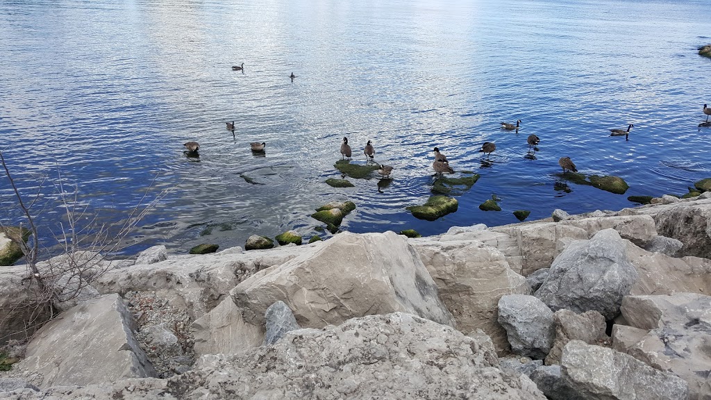 Amos Waites Park | 2441 Lake Shore Blvd W, Etobicoke, ON M8V 1C5, Canada | Phone: (416) 394-8484