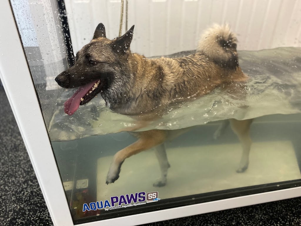 Mobility Matters Pet Rehabilitation | 2387 Lakeshore Rd W, Oakville, ON L6L 1H4, Canada | Phone: (905) 847-9424