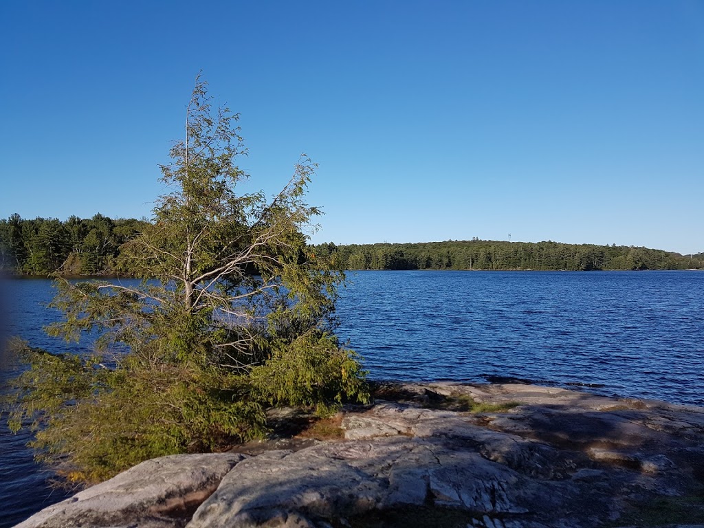 Oastler Lake Provincial Park | 380 Oastler Park Dr, Parry Sound, ON P2A 2W8, Canada | Phone: (705) 378-2401