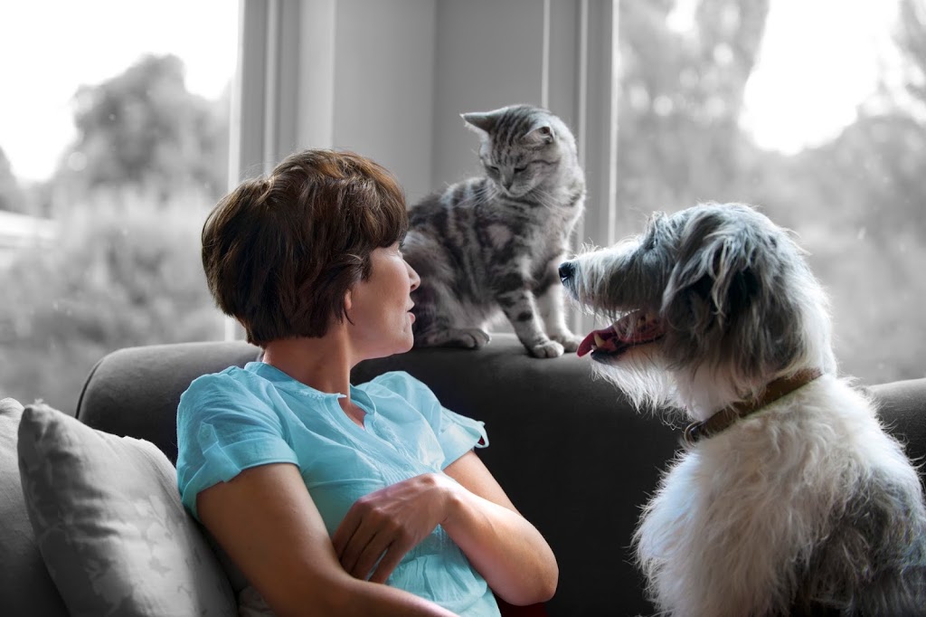 VCA Canada 17th Avenue Animal Hospital | 233 17 Ave SW, Calgary, AB T2S 0A4, Canada | Phone: (403) 228-4165