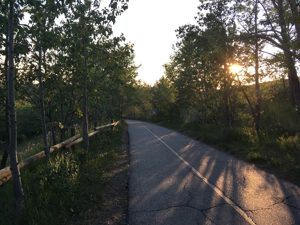 Weaselhead Natural Area Parking | 6634 37 St SW, Calgary, AB T3E 5M9, Canada