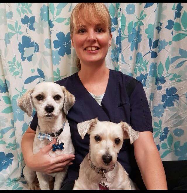 Clayton Park Veterinary Hospital | 278 Lacewood Dr, Halifax, NS B3M 3N8, Canada | Phone: (902) 443-4345