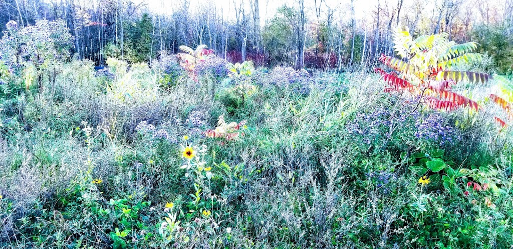 Westview Meadows | Orillia, ON L3V 6H2, Canada