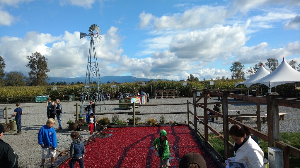 Hopcott Farms Manure and Hay Sales | 18211 Old Dewdney Trunk Rd, Pitt Meadows, BC V3Y 1Z1, Canada | Phone: (604) 465-5000