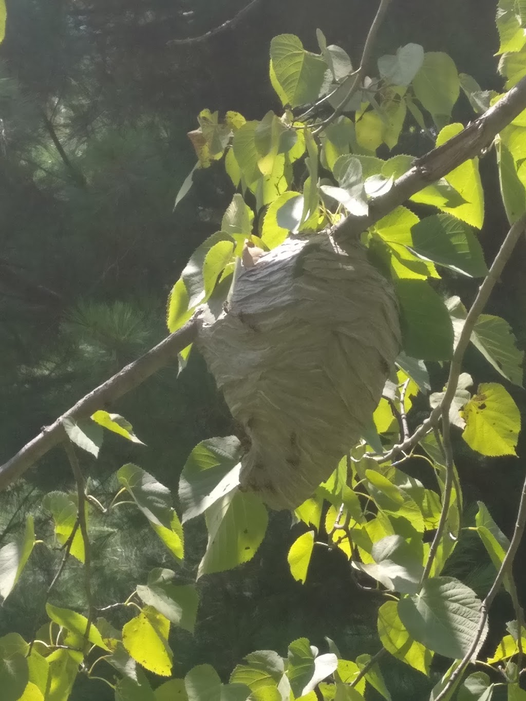 Sculpture Garden at McMichaels Canadian Collection | Vaughan, ON L4H 3N5, Canada