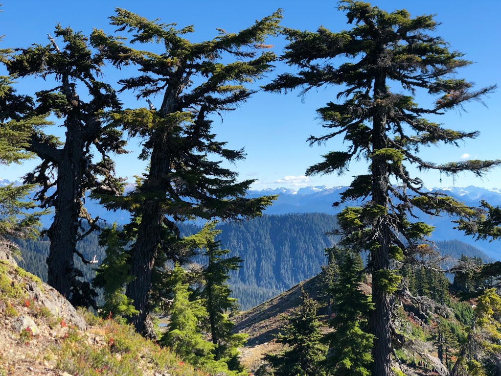 Park Butte Trailhead | Pacific NW Trail, Concrete, WA 98237, USA