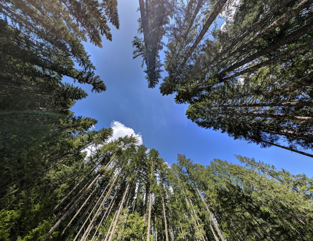 Excelsior Pass Trailhead | Mt Baker Hwy, Glacier, WA 98442, USA | Phone: (360) 856-5700