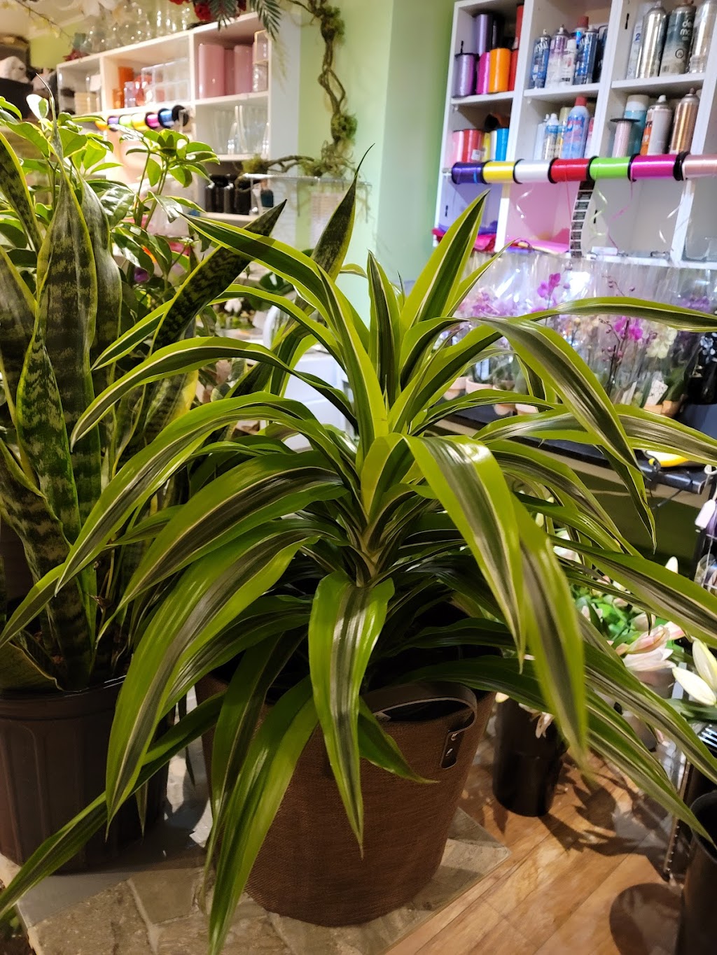 Fleuriste Panier De Fleurs | 2948 Ch Sainte-Marie, Mascouche, QC J7K 1N7, Canada | Phone: (450) 474-2092
